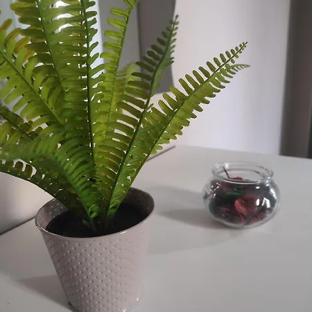 Terra Mea Apartamento Reggio Calabria