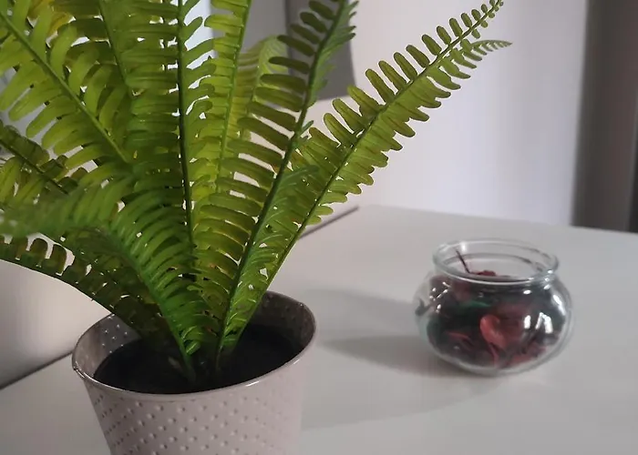 Terra Mea Апартаменты Реджо-ди-Калабрия