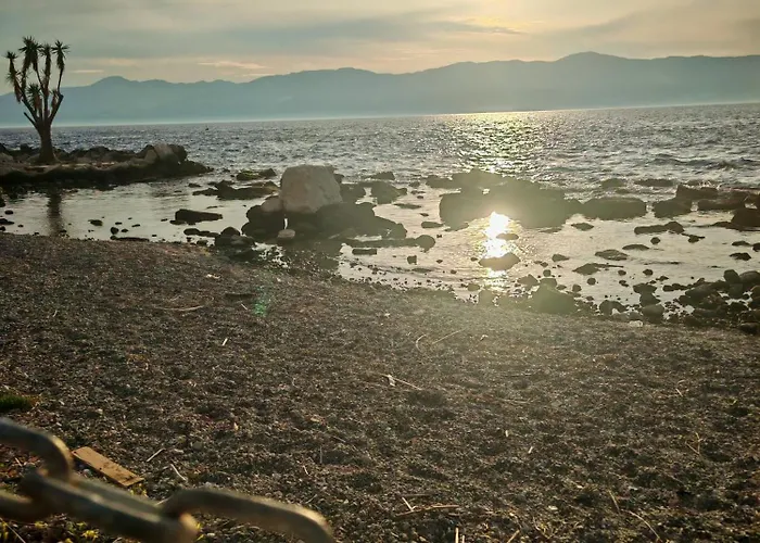 Appartamento Terra Mea *